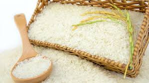 Gạo Tám xoan Hải Hậu