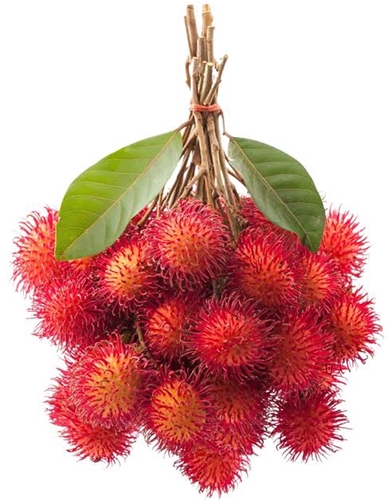 chôm chôm