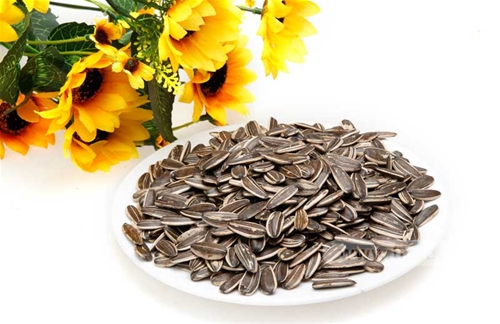 Hướng dương