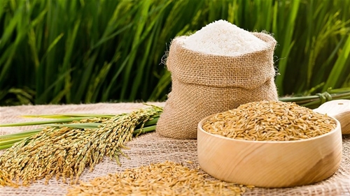 Gạo Xuất Khẩu Việt Nam