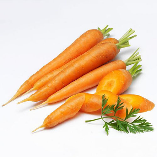 Cà Rốt